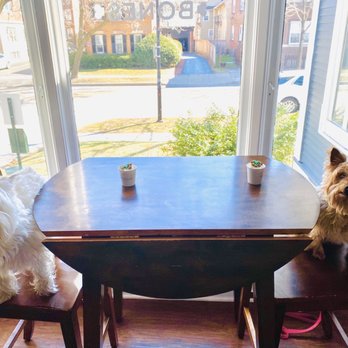Bones Bakery - Puppaccino - Pet Stores Near Me - Rochester, New York