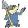 Photo of Pro Mole & Wildlife Control