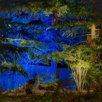 Avalon Lighting Design - Mysterious and intriguing blue within a small grove of Sequoia trees. - Lighting Fixtures & Equipment Near Me - Orangevale, California