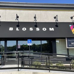 Blossom Cannabis - Dispensary Exterior