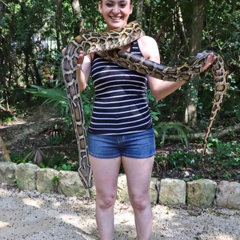 Akumal Monkey Sanctuary - You even get to face your fears! - Zoos Near Me - Akumal, ROO Akumal Monkey Sanctuary - You even get to face your fears! - Zoos Near Me - Akumal, ROO