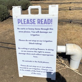 Araceli Farms - Signage in the field - Attraction Farms Near Me - Dixon, California
