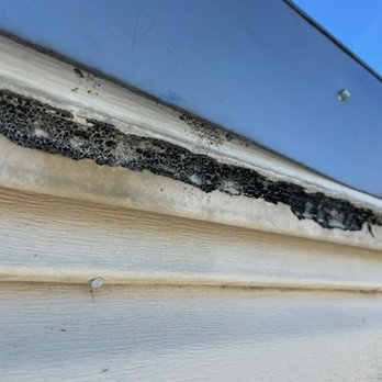 A-1 Chimney Specialists - More mold growing after new chase cover installed with no drip edge - Chimney Sweeps Near Me - Joppa, Maryland A-1 Chimney Specialists - More mold growing after new chase cover installed with no drip edge - Chimney Sweeps Near Me - Joppa, Maryland