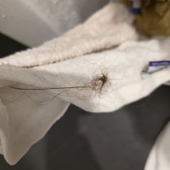 Casa Morada - This is some of the hair that was in the shower that I cleaned up when we first got in the room - Resorts Near Me - Islamorada, Florida