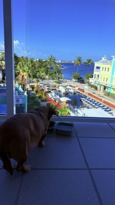 Reefhouse Resort & Marina by null