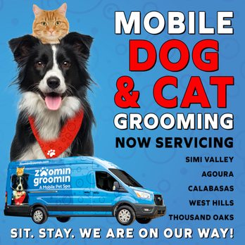 Zoomin Groomin - By taking advantage of Zoomin Groomin's mobile pet grooming services, you will receive the quality grooming you expect from a professional s - Pet Groomers Near Me Zoomin Groomin - By taking advantage of Zoomin Groomin's mobile pet grooming services, you will receive the quality grooming you expect from a professional s - Pet Groomers Near Me