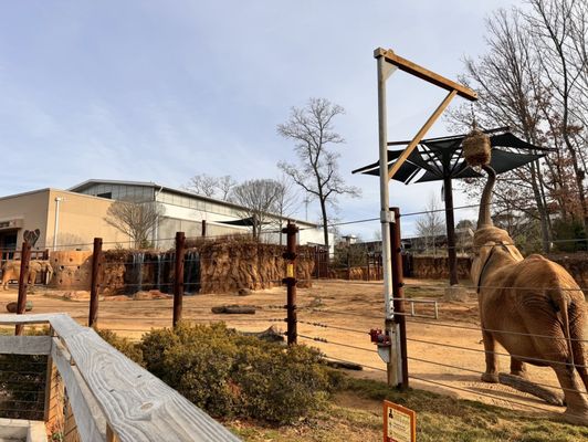 Zoo Atlanta by null