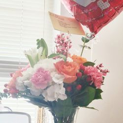 73 Daisies