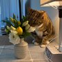 Photo of A New Leaf Florist