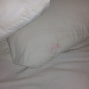 A Victory Inn & Suites - Someone else's lipstick - Hotels Near Me - Ann Arbor, Michigan