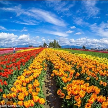 Seattle Motorsports - They are the best. - Car Dealers Near Me - Shoreline, Washington Seattle Motorsports - They are the best. - Car Dealers Near Me - Shoreline, Washington