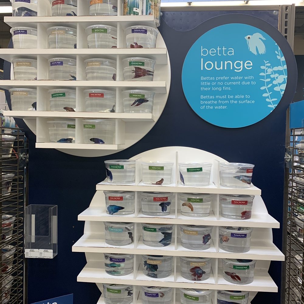Petco - Pet Groomers Near Me - Kaneohe, Hawaii