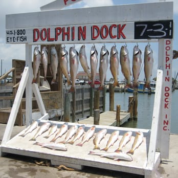 Dolphin Dock - Fishing Near Me - Port Aransas, Texas