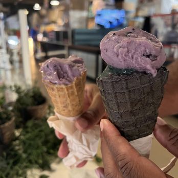 The Greenery Creamery - Our dessert cones: Vanilla white and Vanilla black cone. We love the blueberry and lavender. My hubby ordered the black ash coconut! - Ice Cream & Frozen Yogurt Near Me - Sanford, Florida The Greenery Creamery - Our dessert cones: Vanilla white and Vanilla black cone. We love the blueberry and lavender. My hubby ordered the black ash coconut! - Ice Cream & Frozen Yogurt Near Me - Sanford, Florida