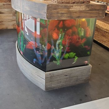 JoJo's Jerky - a fish tank in a store - Specialty Food Near Me - Las Vegas, Nevada JoJo's Jerky - a fish tank in a store - Specialty Food Near Me - Las Vegas, Nevada
