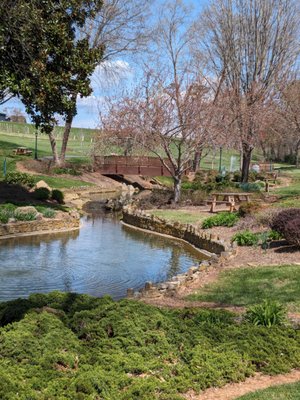 Shelton Vineyards by null