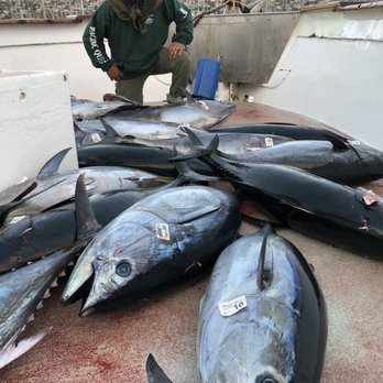 bob's fishing tackle