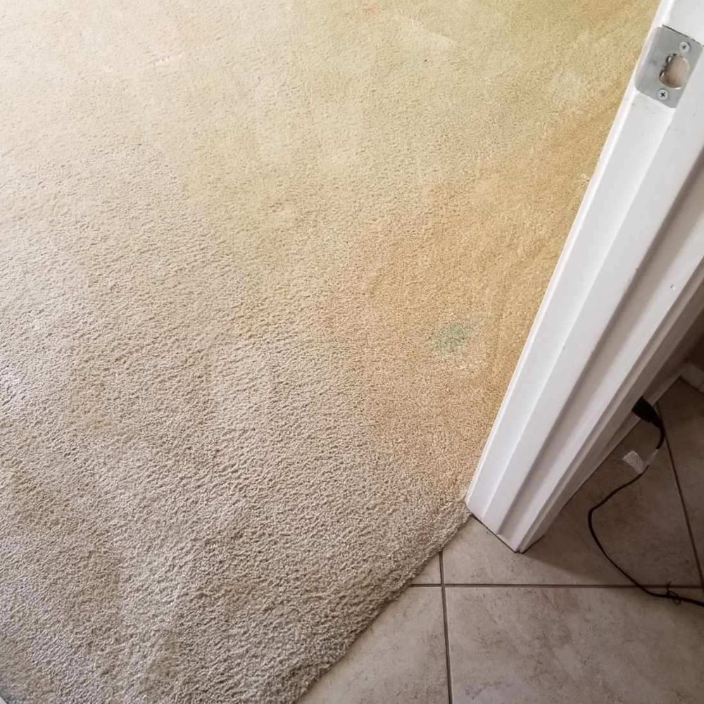 ZEROREZ TUCSON 22 Photos & 50 Reviews Carpet Cleaning 2450 W