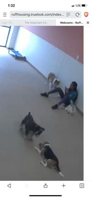 Ruff Housing Greensboro