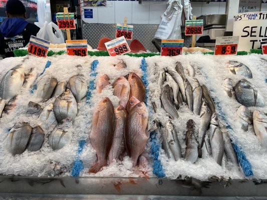 SEA BREEZE FISH MARKET - Updated July 2025 - 32 Photos & 76