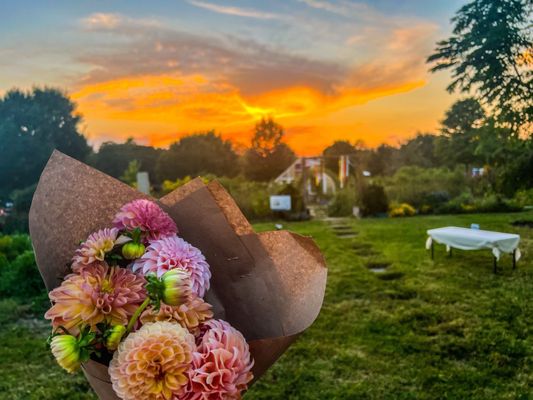 Foxhollow Farm by null