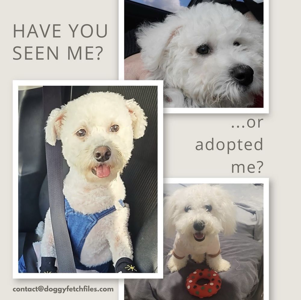 A Forever Home Animal Rescue Image