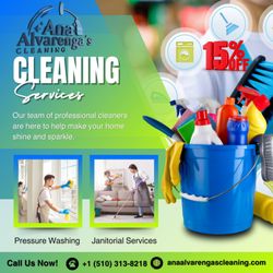 Ana Alvarenga’s Cleaning