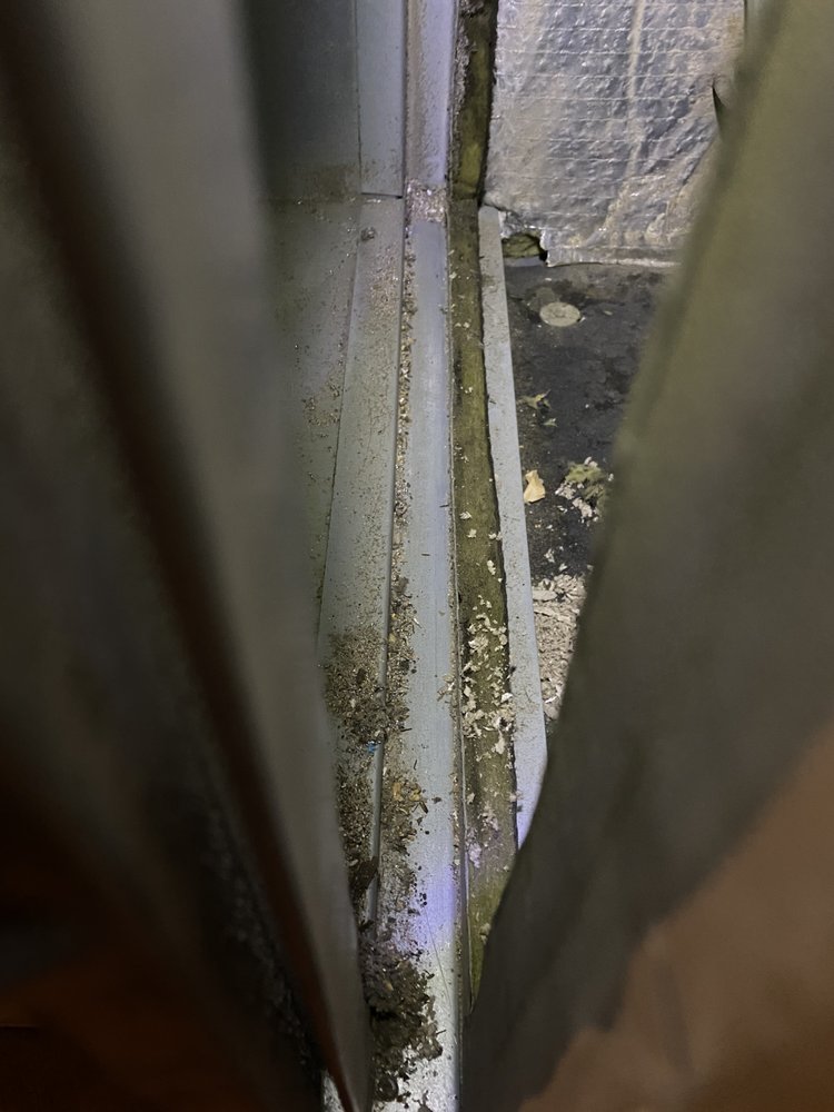 STANLEY STEEMER Updated June 2024 20 Photos & 23 Reviews 14751 W