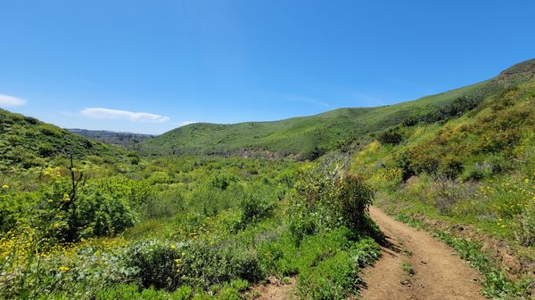 Zuma Canyon Trail by null