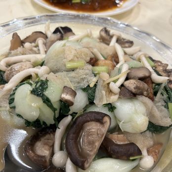 New Northern Manor - Mushrooms and Vegetables - Dim Sum Near Me - Little neck, New York New Northern Manor - Mushrooms and Vegetables - Dim Sum Near Me - Little neck, New York