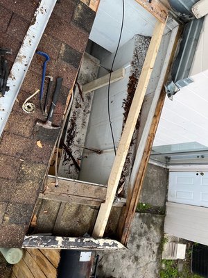 Phoenix Roofing Logo