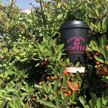 Pink Owl Coffee - Pink owl waiting for little critters to emerge. - Coffee & Tea Near Me - San Rafael, California Pink Owl Coffee - Pink owl waiting for little critters to emerge. - Coffee & Tea Near Me - San Rafael, California