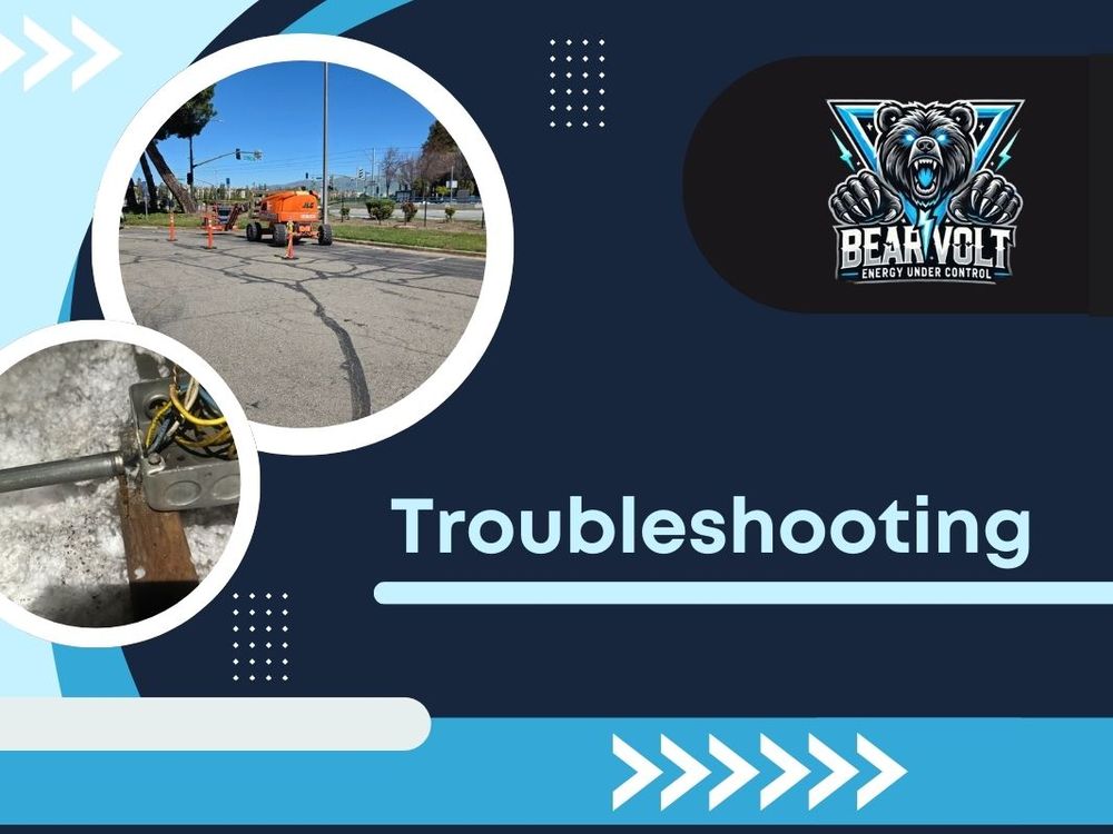 Slide of Bear Volt