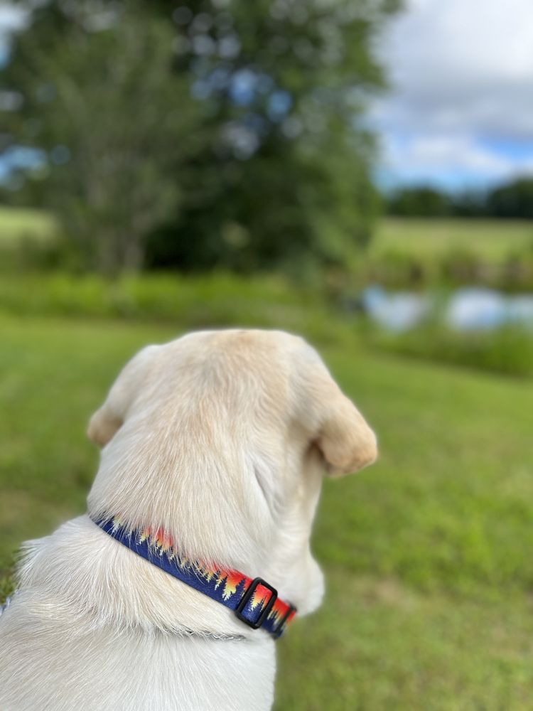 Owens Recreational Park Image