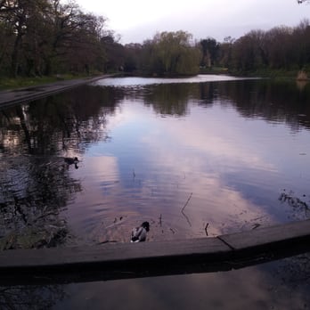 Bushy Park - Parks Near Me - Dublin, D