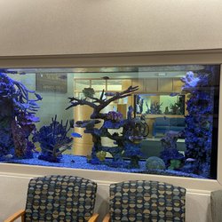 NorthShore University HealthSystem