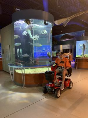 Cox Science Center and Aquarium by null