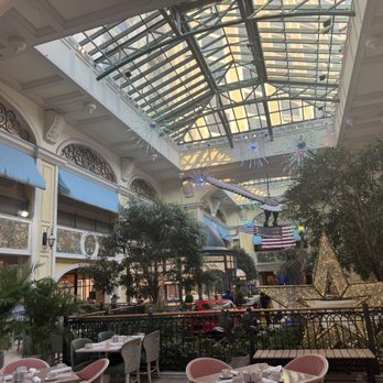 Salt & Ivy, A Coastal Kitchen - This is a beautiful atrium inside of the restaurant. You can see the skylights. - New American Near Me - Biloxi, Mississippi Salt & Ivy, A Coastal Kitchen - This is a beautiful atrium inside of the restaurant. You can see the skylights. - New American Near Me - Biloxi, Mississippi