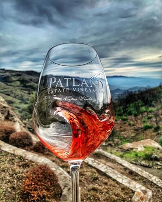 Patland Estate Vineyards by null