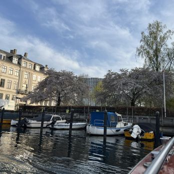Stromma Denmark - Cherry blossoms at one of the canals - Boat Tours Near Me - Copenhagen, 84