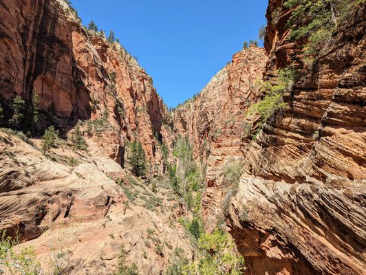 Angels Landing by null