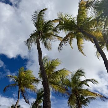 Caribe Hilton - Hotels Near Me - San Juan, Puerto Rico Caribe Hilton - Hotels Near Me - San Juan, Puerto Rico