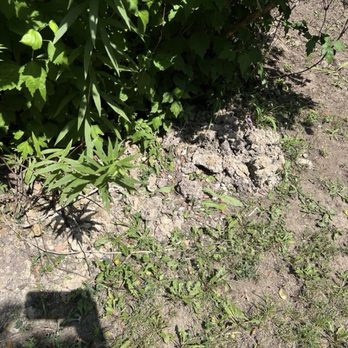 Ergeon - More dirt pile - Fences & Gates Near Me - Chicago, Illinois