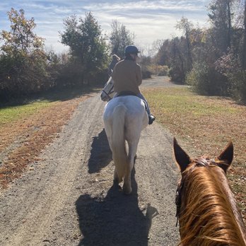 Handy Acres Farm - Horseback Riding Near Me - New Egypt, New Jersey Handy Acres Farm - Horseback Riding Near Me - New Egypt, New Jersey