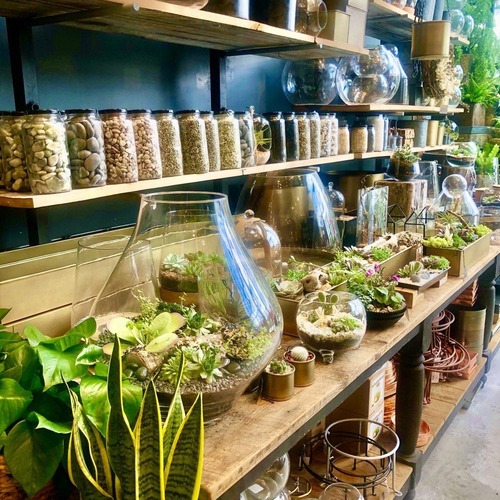 Terrain - All sorts of pebbles, rocks vases, pottery, plants, succulents - Home & Garden Near Me - Los Angeles, California