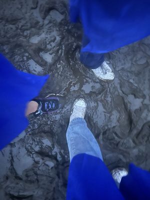 PNC BANK ARTS CENTER - Updated November 2025 - 392 Reviews & 525 Photos