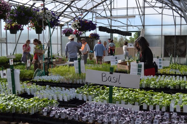 Growing Gardens by null