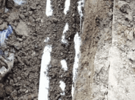 Slide of Nuckles & Son