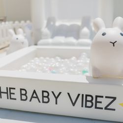 The Baby Vibez - The Baby Vibez