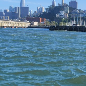 Bay Voyager - Tours Near Me - San Francisco, California
